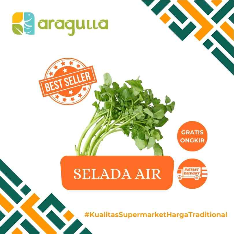 

Selada Air [Sayur - Sayuran Segar Instant / Express Surabaya] - Aragulla