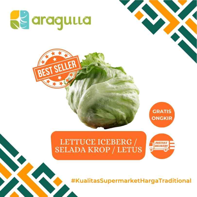 Iceberg / Letus / Head Lettuce / Sayur Salad [Sayur - Sayuran Segar Instant / Express Surabaya] - Ar