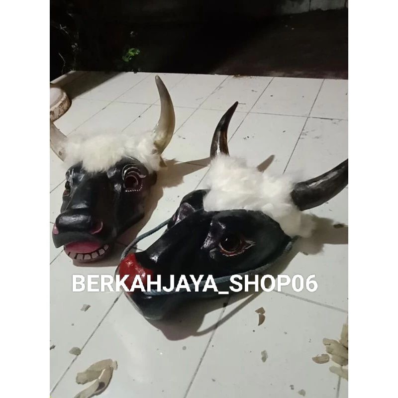 bantengan anak SMP (tanduk asli)