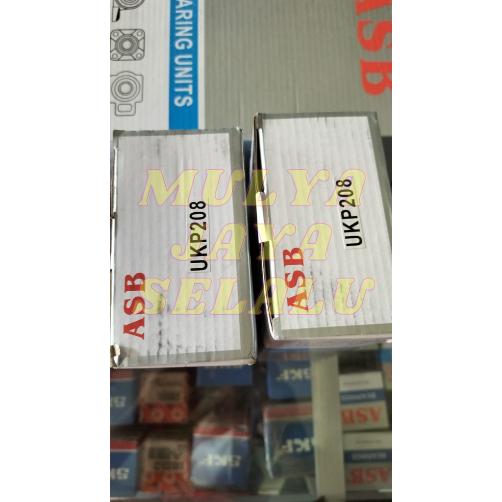 BEARING DUDUK UKP 208 MEREK ASB PILLOW BLOCK
