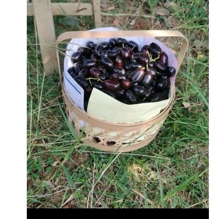 

Buah Segar Buah Juwet Hitam 400gr dan kiloan