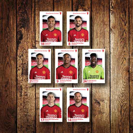 Polaroid Mini Poster Bola Man United 2023/2024