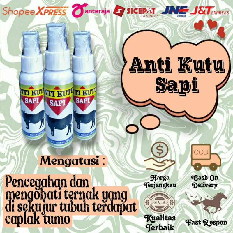 Anti Kutu Sapi Ampuh Membasmi Pinjal & Kutu
