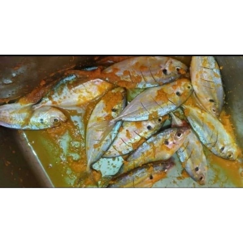 

IKAN SELAR BUMBU KUNING