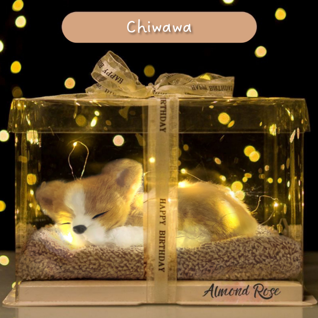 CHIWAWA - Hampers Boneka Tidur kado cewe kado pacar hadiah kado boneka kucing kucing arang bambu bon