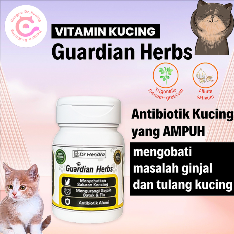 Vitamin Kucing Anti Biotik Alami Kucing Vitamin Tulang Kucing Guardian Herbs Obat Ginjal Kucing  Oba