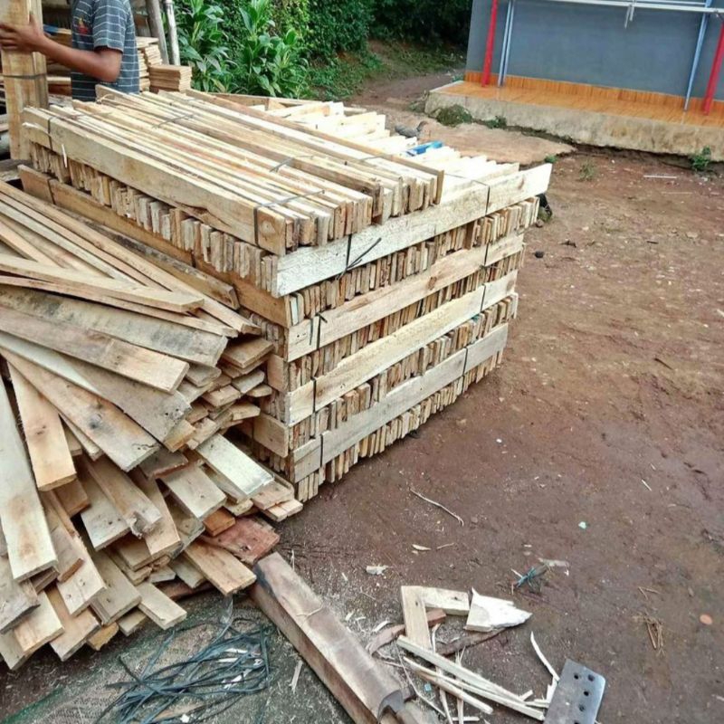 10 Pcs Kayu Sengon Laut Albasia Kualitas Super - Minimal 10 Batang