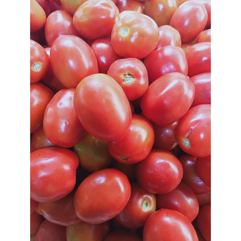 

Tomat merah super segar 1kg