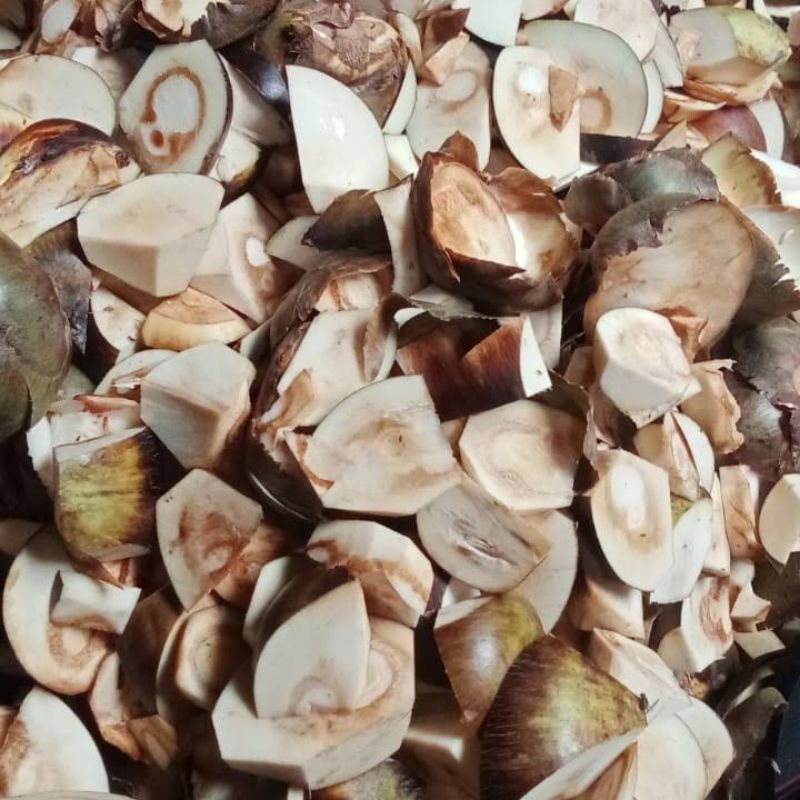 

kulit lontar fresh 900gr