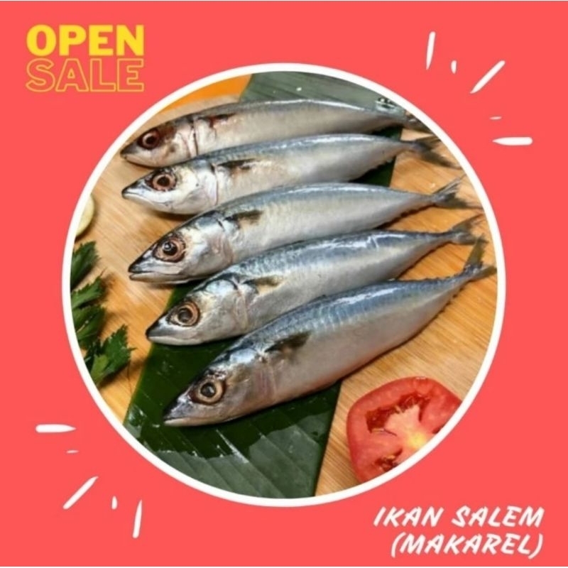 

Ikan Salem Makarel Segar