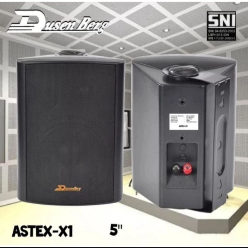 Paket Sound Dusenberg astex x1 5 Inch 18 Titik Buat Sekolahan/cafe
