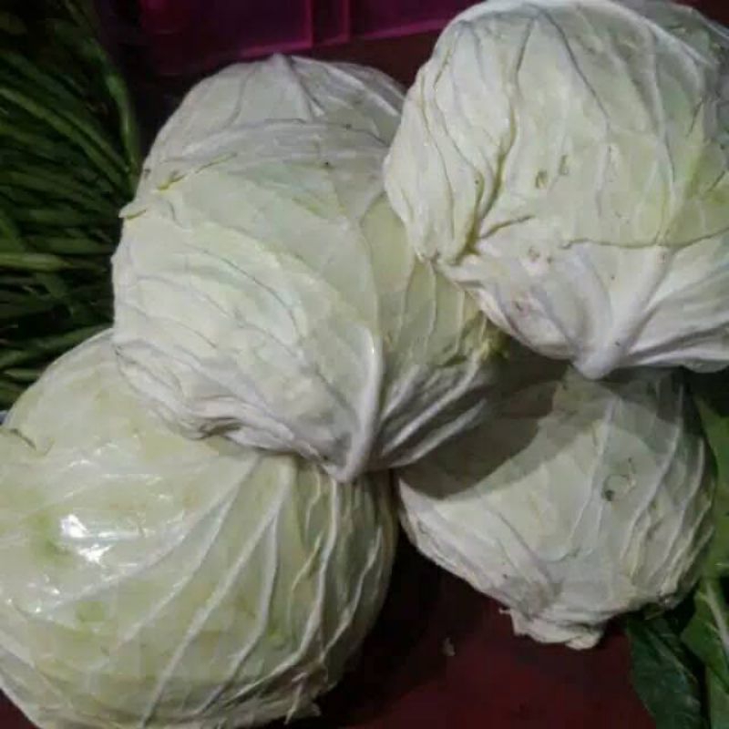 

Sayur Kol/ kubis