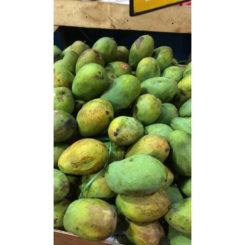 

Mangga