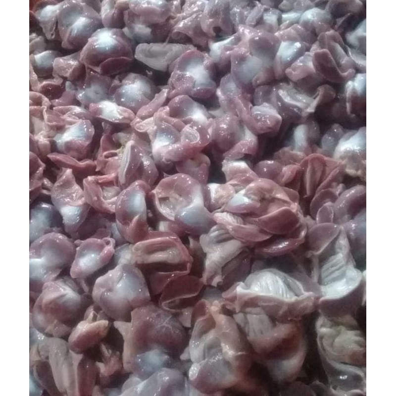 

Ati ampela ayam segar ( sudah bersih )