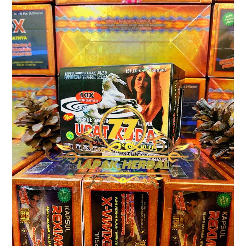 urat kuda blister original