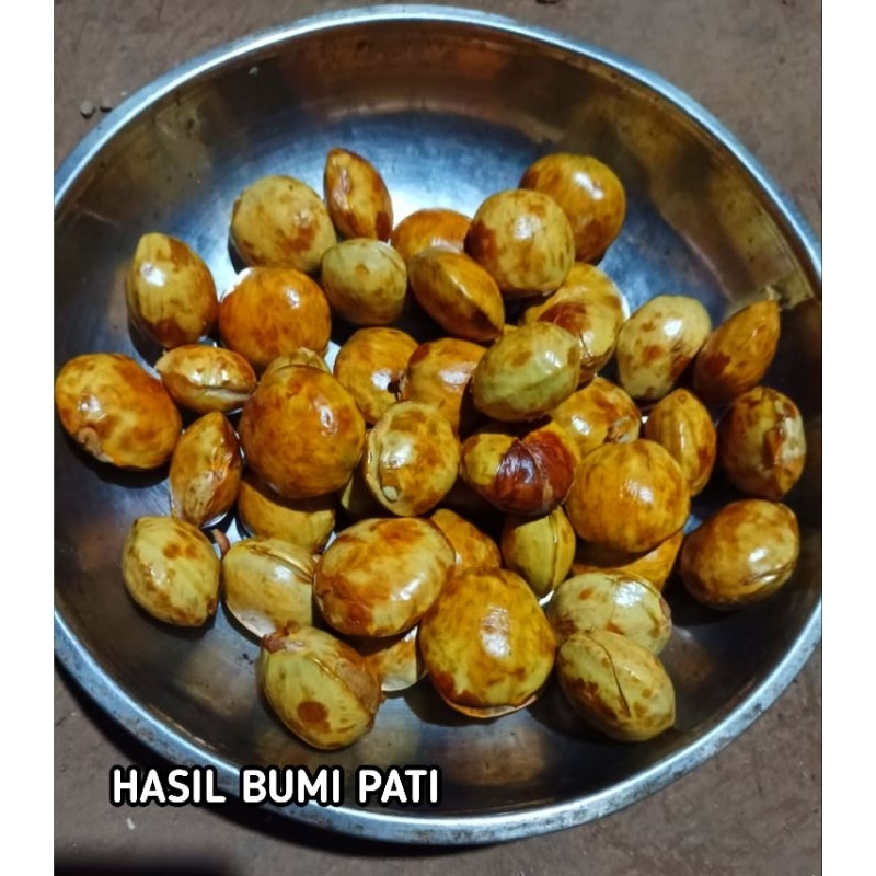 

Jengkol Jereng Tua 1 Kg Fresh Lokal Pati