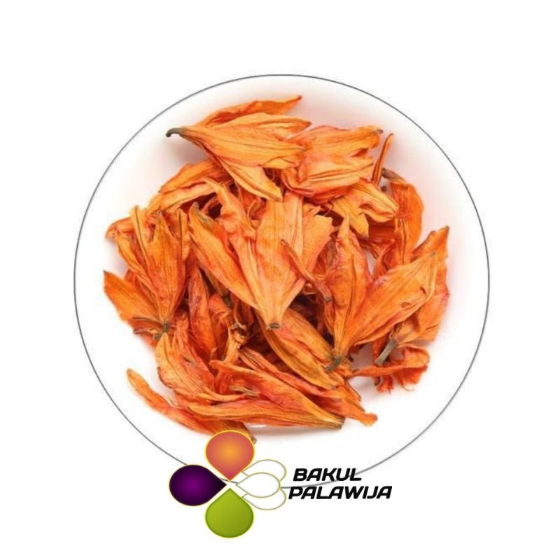 

BUNGA LILY ORANGE LILLY DRIED LILY KERING