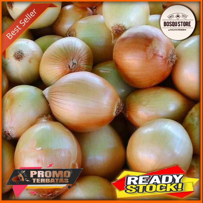 

Bawang Bombay ukuran, kecil, sedang, besar 500grm