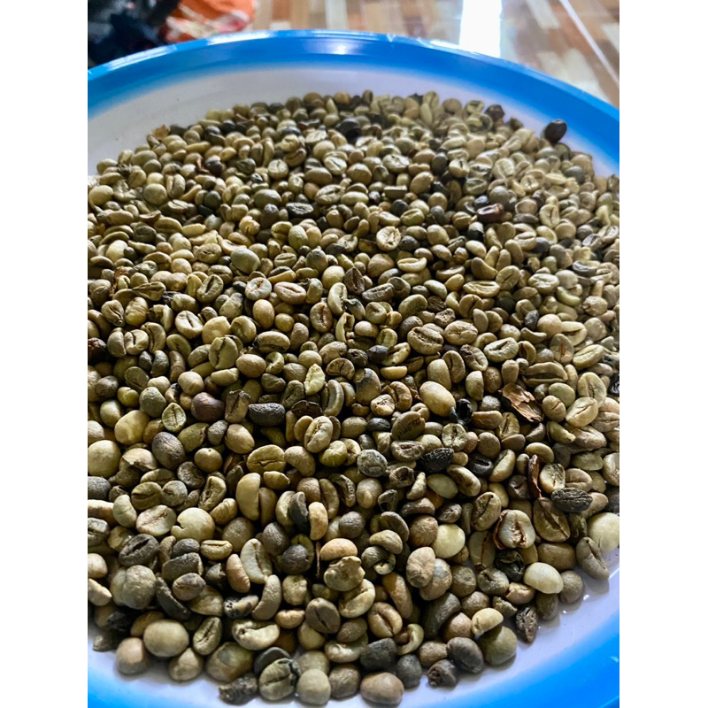 

GREANBEAN ROBUSTA MUARO BUNGO