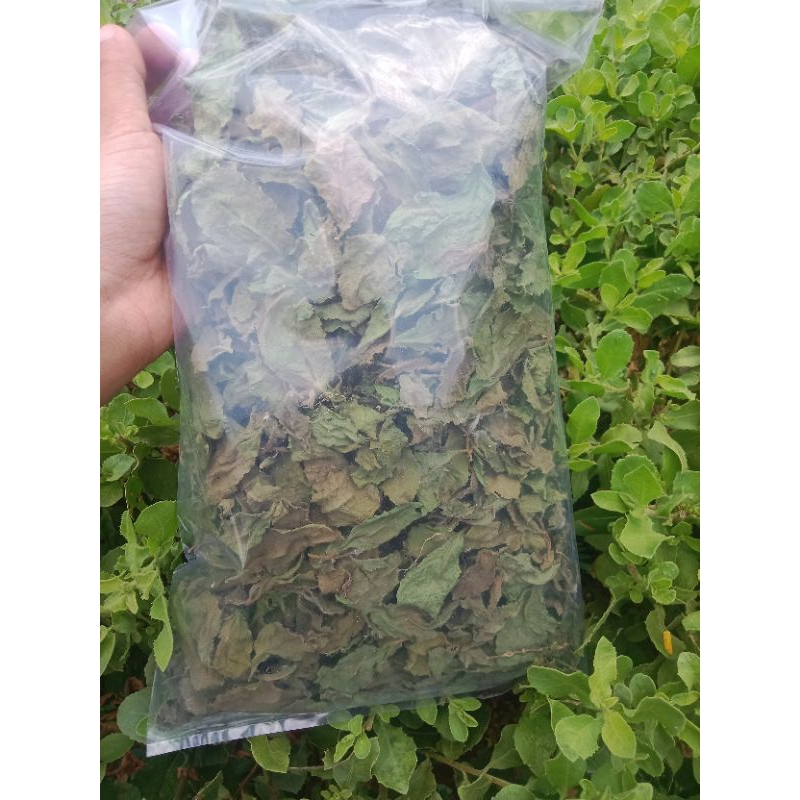 

Daun Beluntas Kering Kemasan 100gr