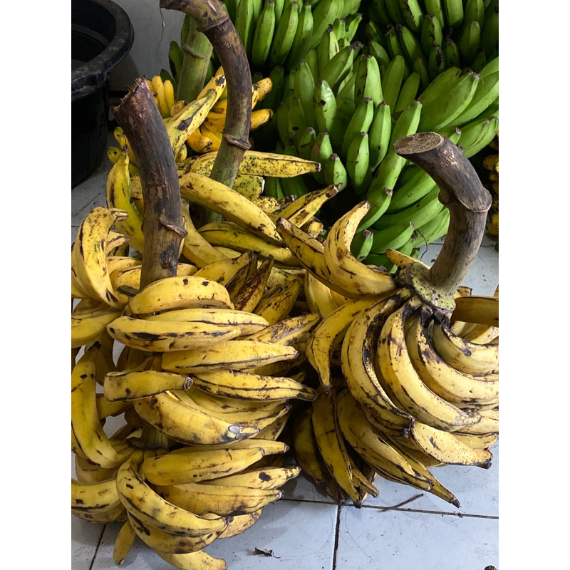 

pisang candi untuk gorengan