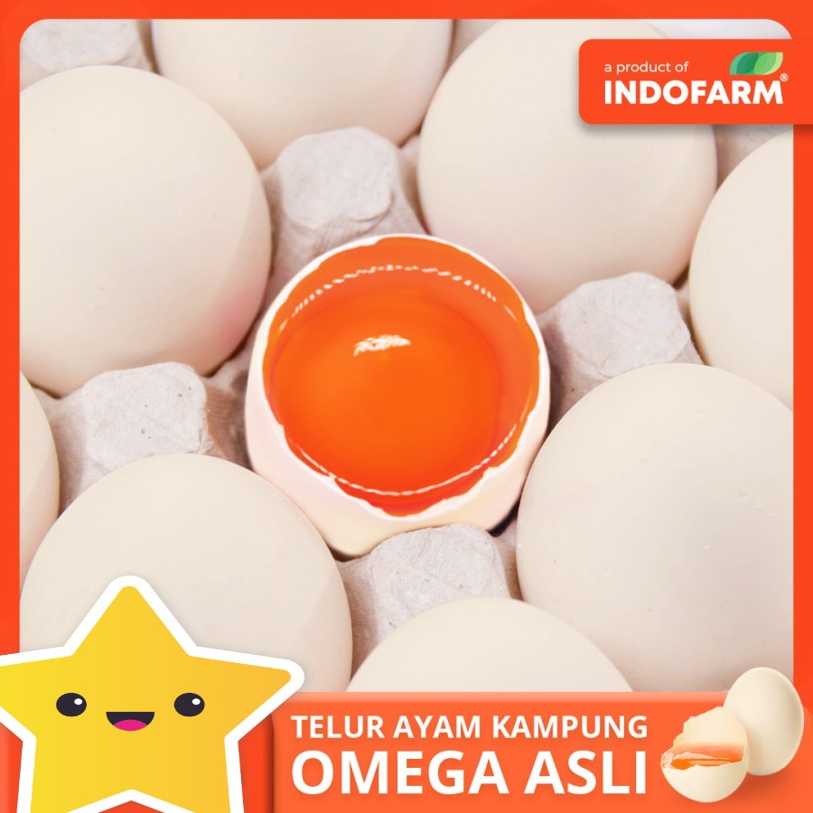 

INDOFARM Telur Ayam KAMPUNG MINI Organic Omega-3 Free Range Egg 1 butir