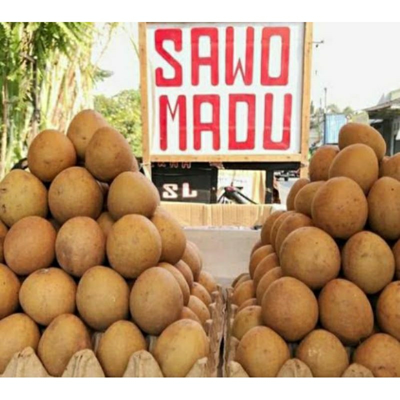 

sawo madu super 1kg