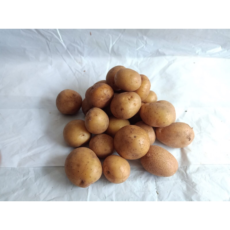 

BABY POTATO /kg
