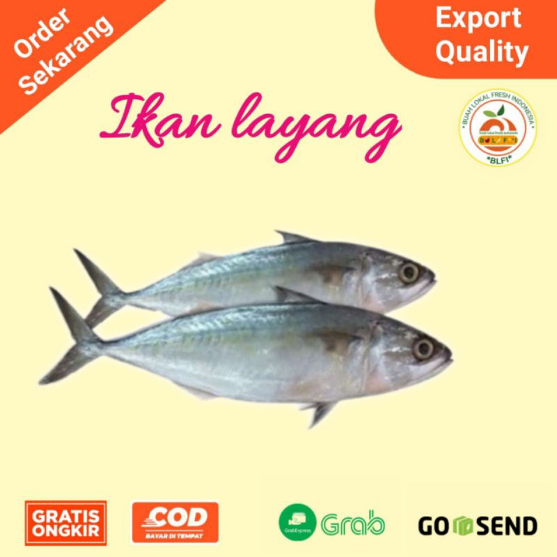 

IKAN LAYANG