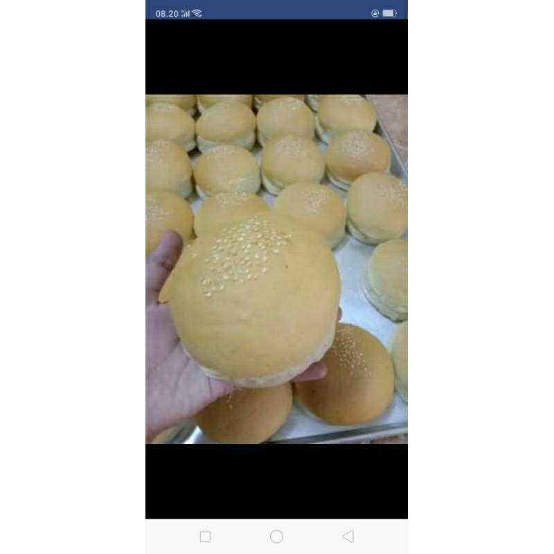 

burgerbun's