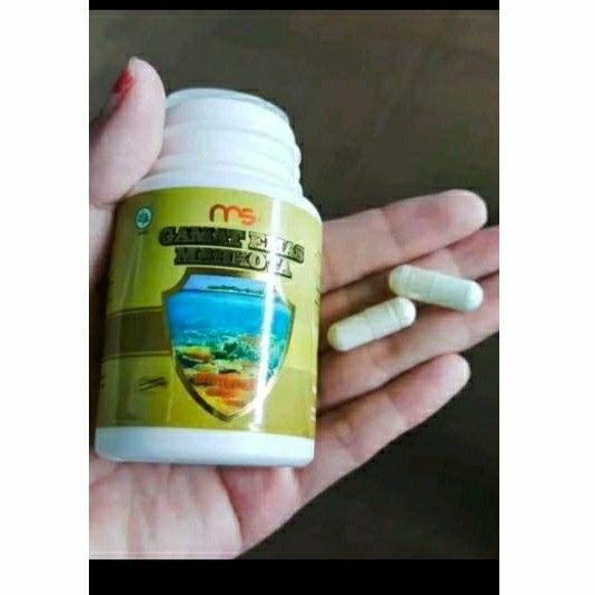 msi gamat emas mahkota original