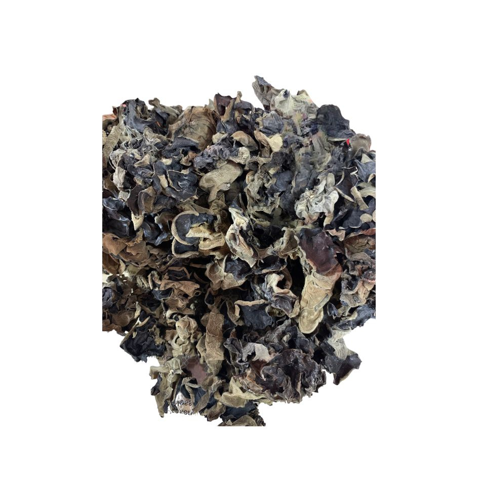 

Jamur Kuping Hitam/ Black Fungus