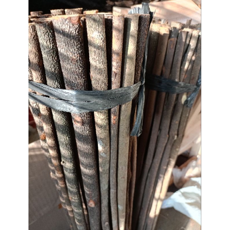 tangkringan kayu asem bali