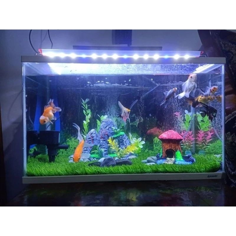 Louay_Idstore Rumput Sintetis Full Hijau Aquarium Ukuran 40X20 40X30 40X40 Cm