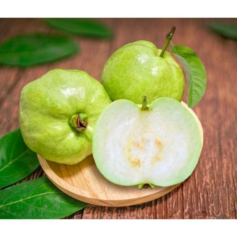 

jambu kristal segar 1kg
