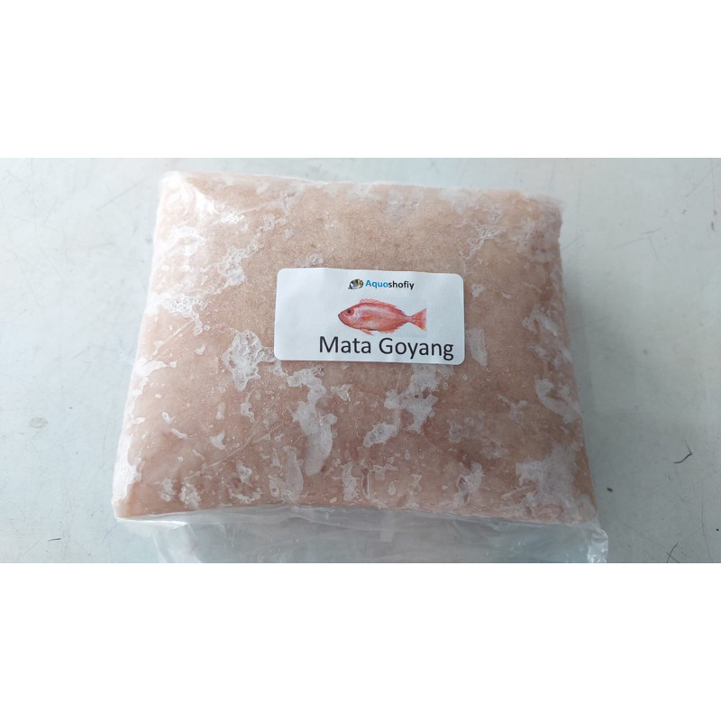 

ikangilingmatagoyang