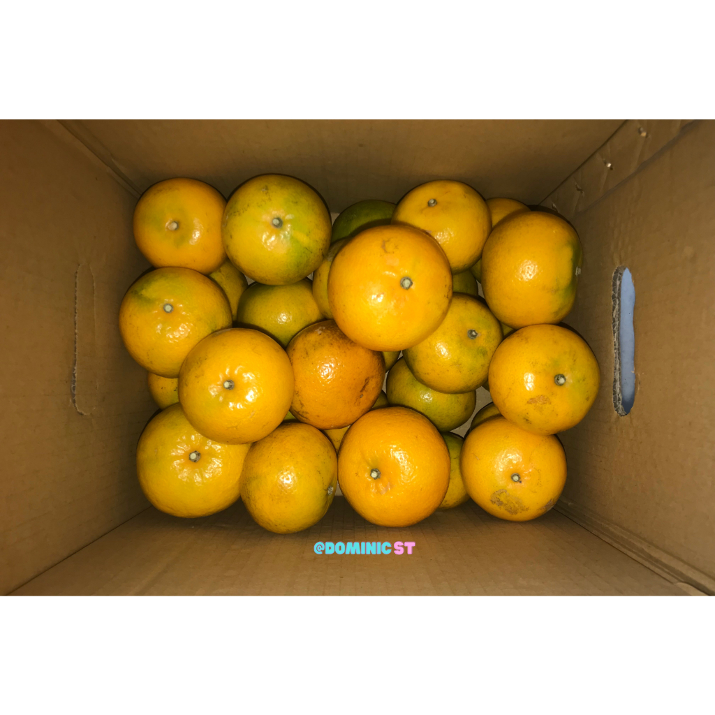 

Jeruk Honey Murcot Lokal (Indo Murcot) 1-5 KG