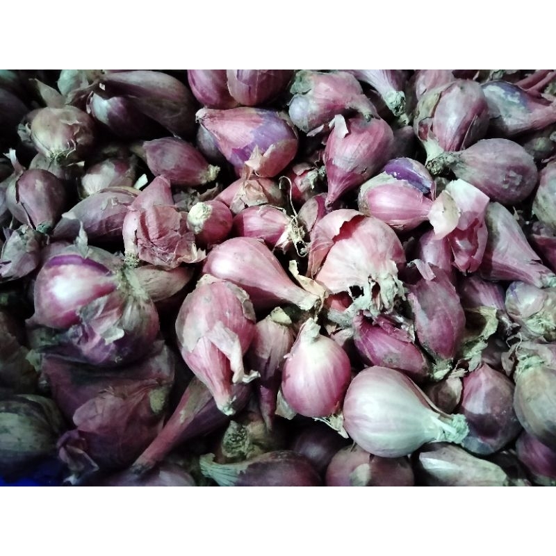 

Bawang Merah Brebes 1 kg