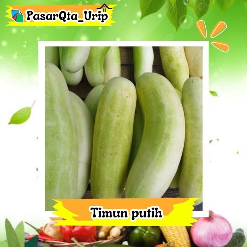 

Timun putih / Bonte / pasar online makassar