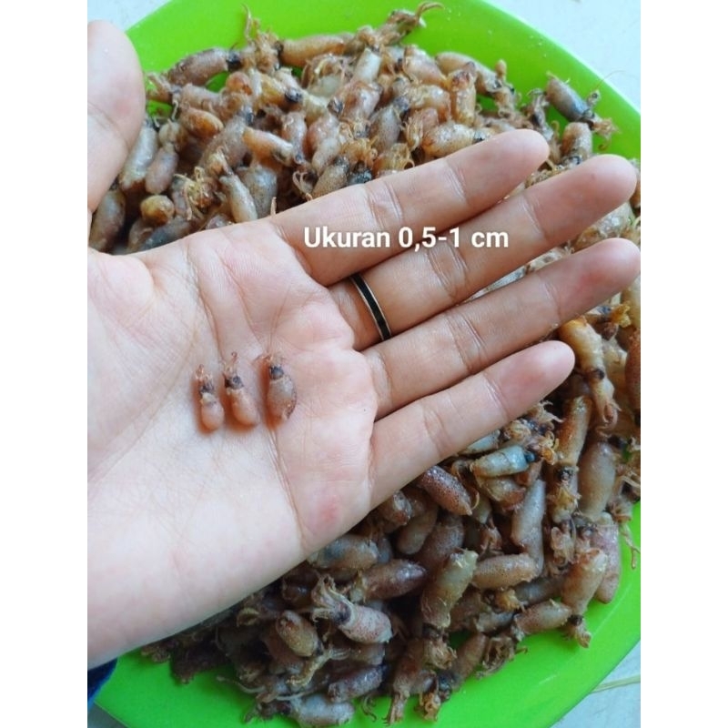 

Cumi BABY TAWAR PREMIUM Murah Kering Garansi 250 gram