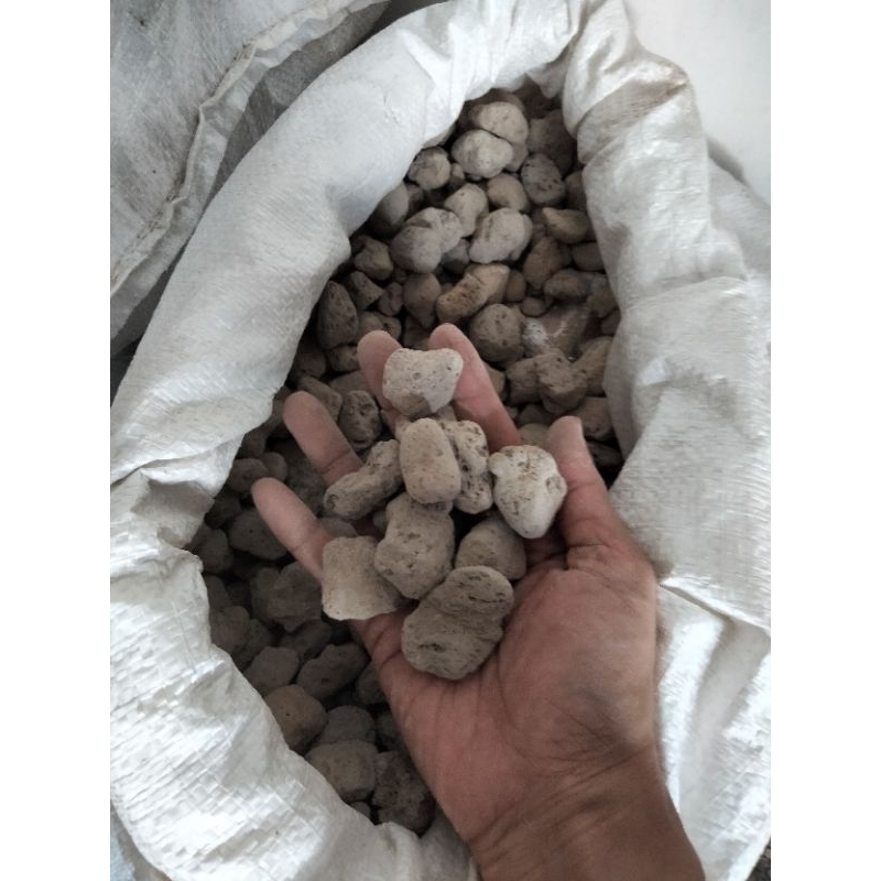 Batu Apung Filter media filter biologis kolam koi