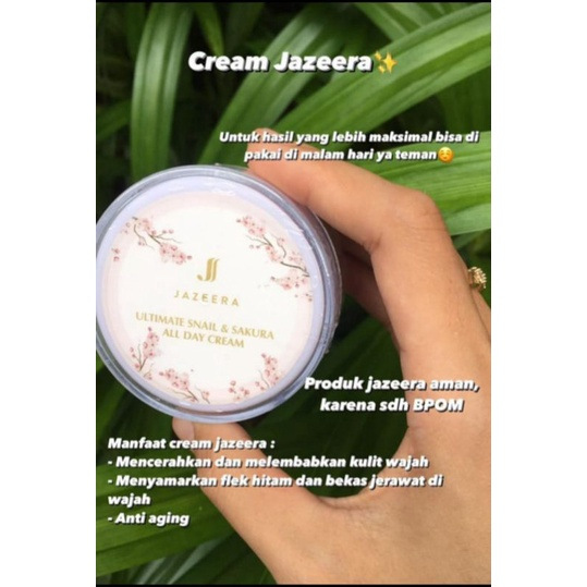 Jazeera ALL DAY CREAM