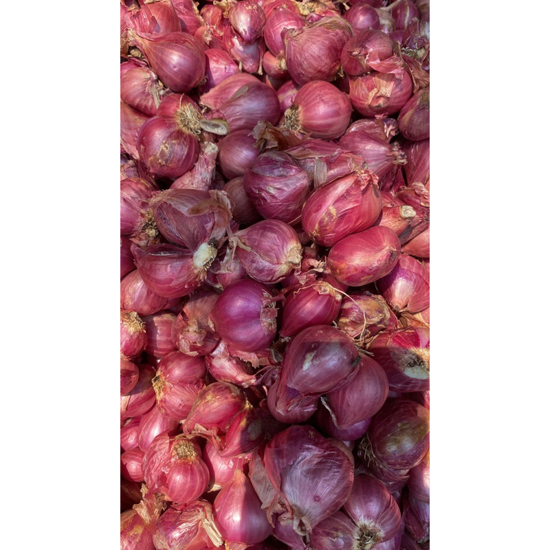 

Bawang merah bali, 1kg