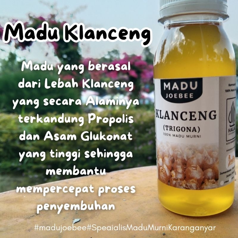 

Madu klanceng murni