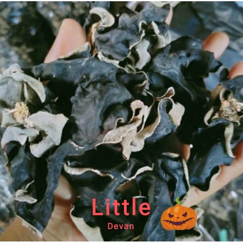 

jamur kuping hitam biasa FYF 100 gr