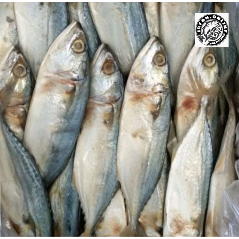 

Ikan Asin Peda Putih Besar Kualitas Fresh Grade : A 500gram
