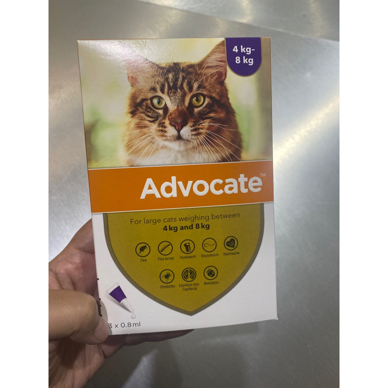 Advocate Cat Tetes Kutu Kucing 4-8kg