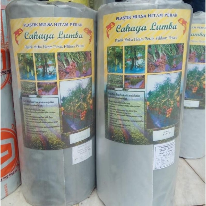 Mulsa plastik cahaya lumba lebar 60cm panjang 530m