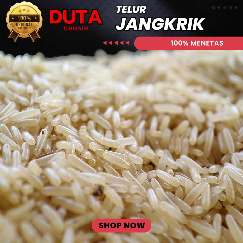 

READY STOK TELUR JANGKRIK ALAM