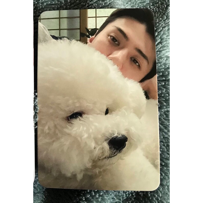 PC sehun vivi